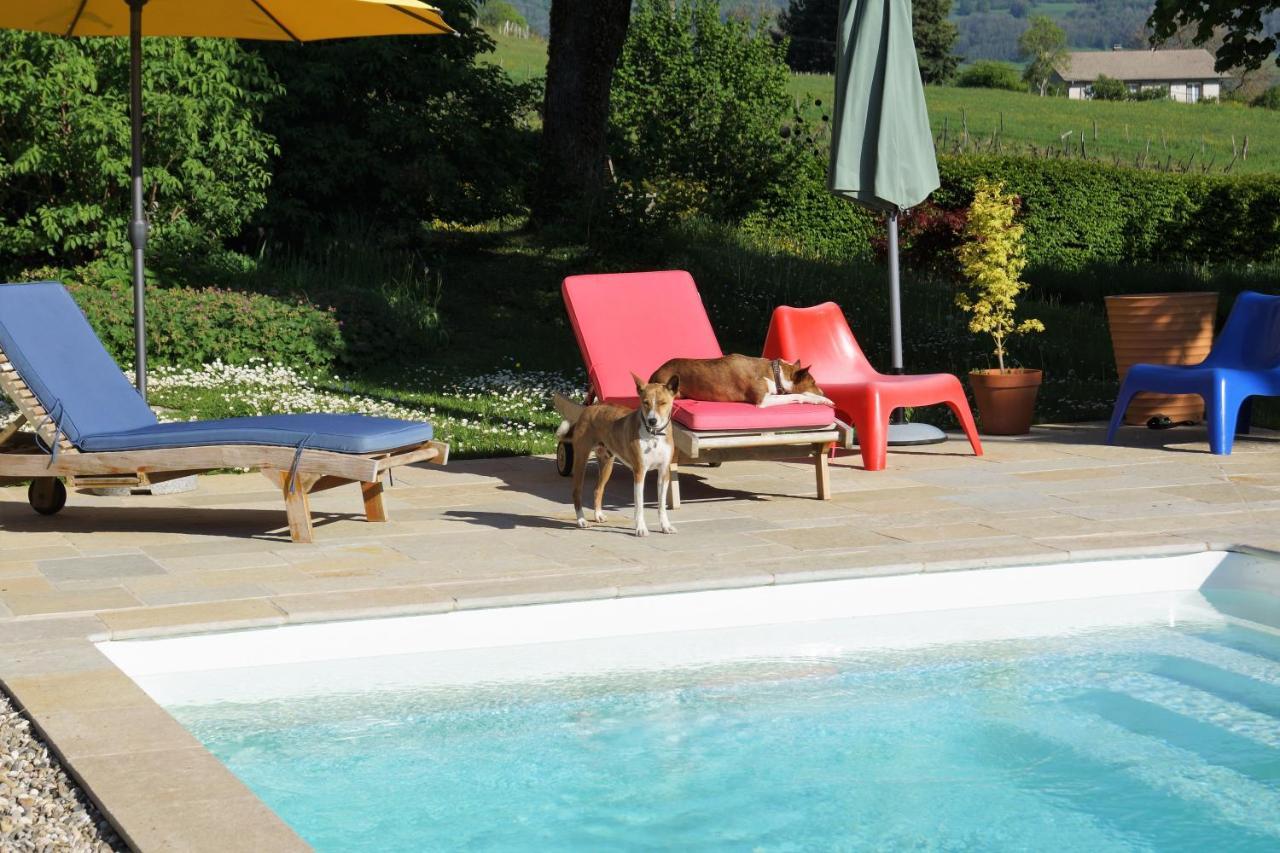 Bed and Breakfast Domaine De Saint Loth' Exterior foto